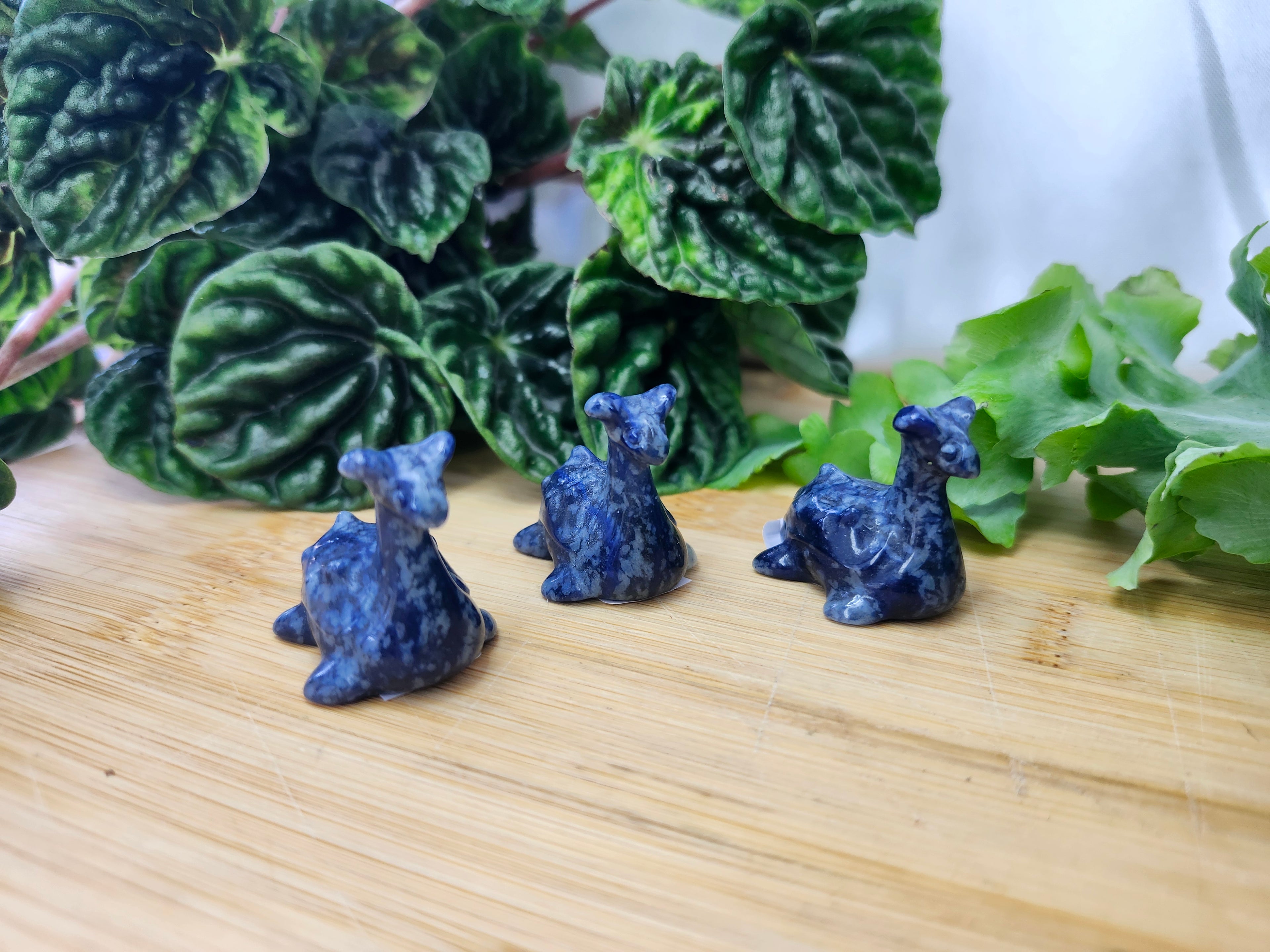 LAPIS LAZULI LAPRIS
