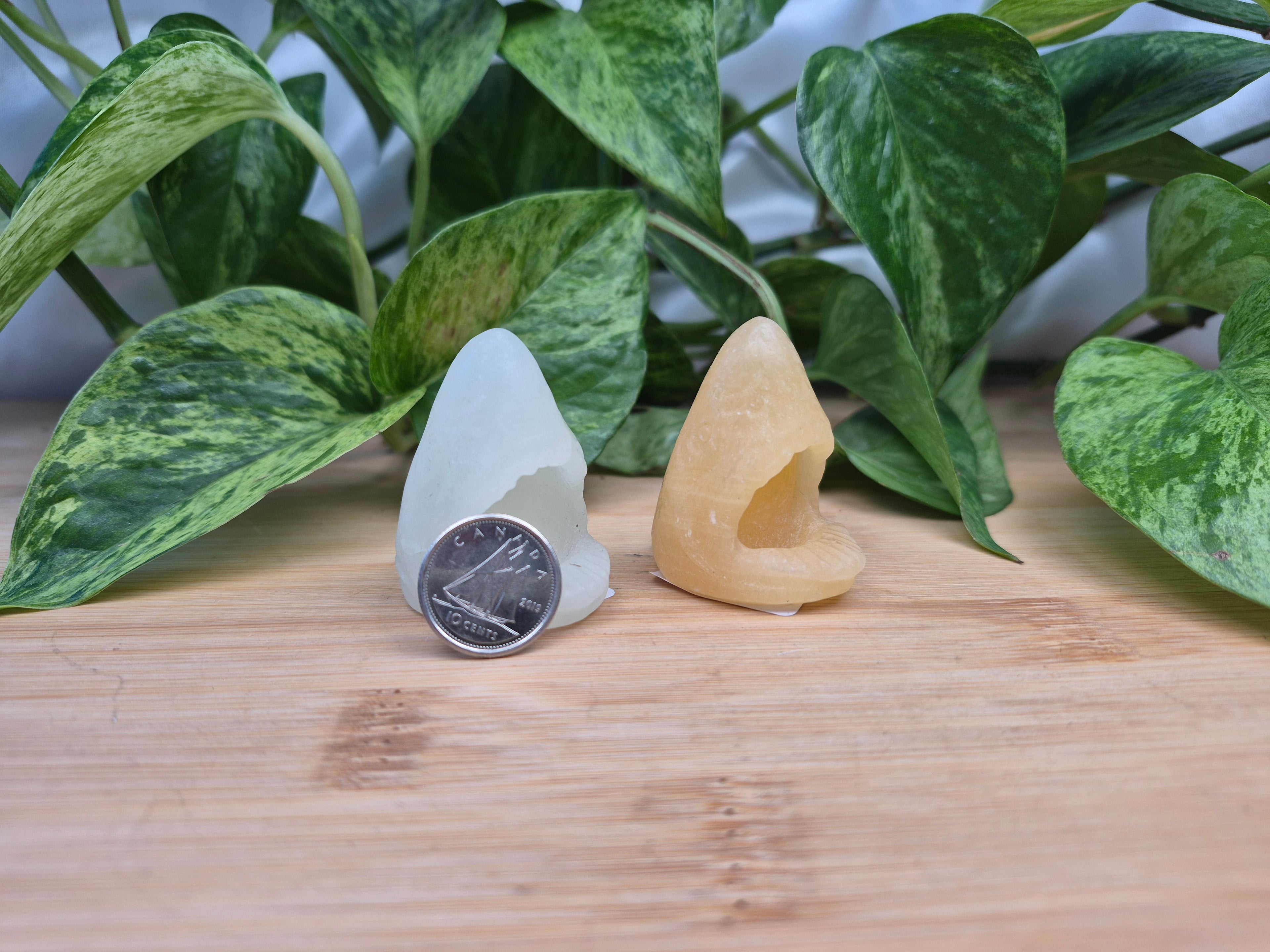 MIXED CRYSTAL SHARK HEAD