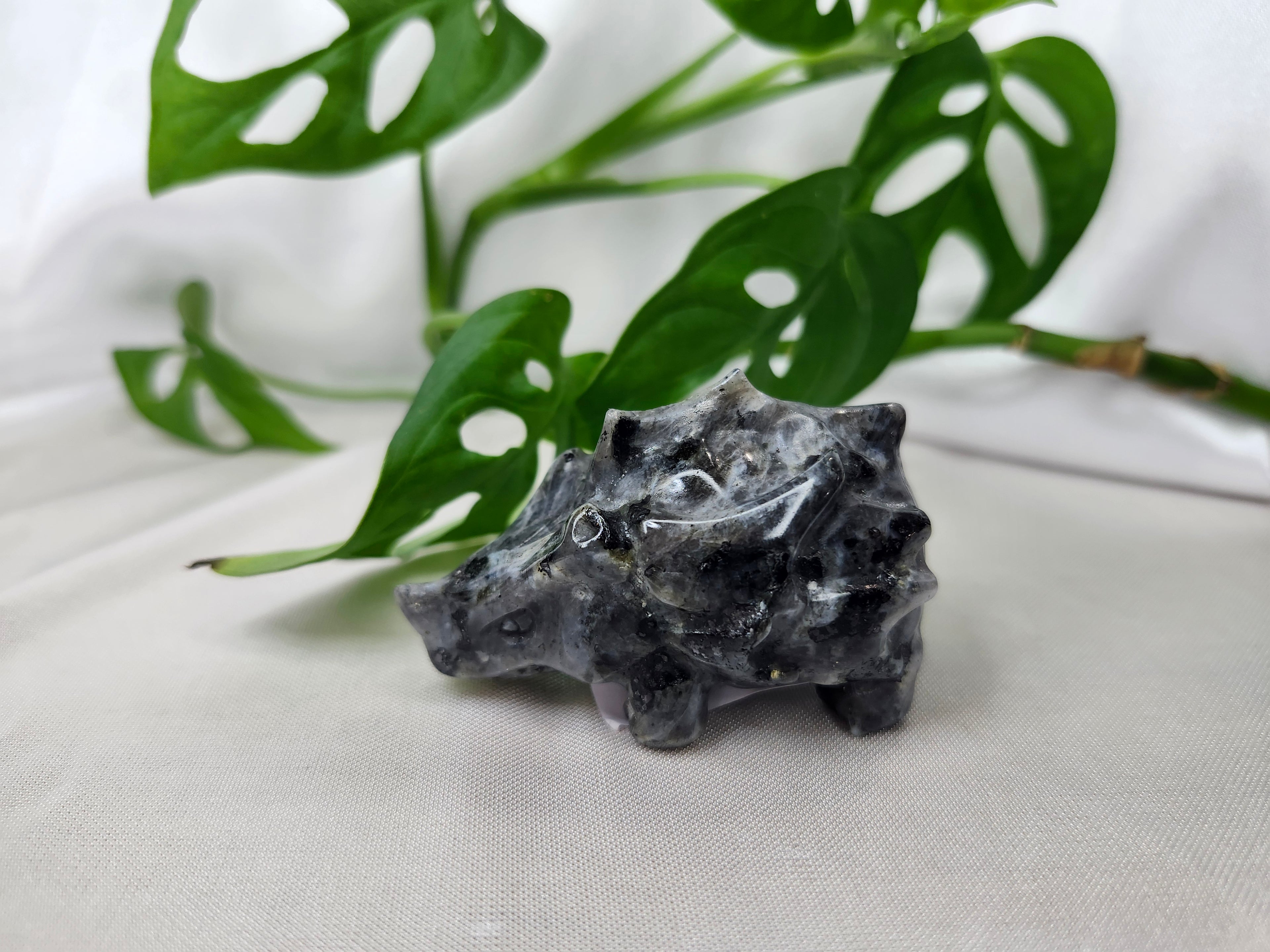 LARVIKITE RYHORN