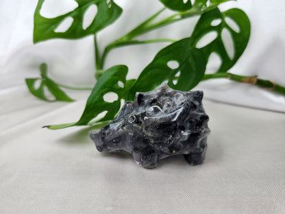 LARVIKITE RYHORN