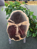 PETRIFIED WOOD SLAB #9