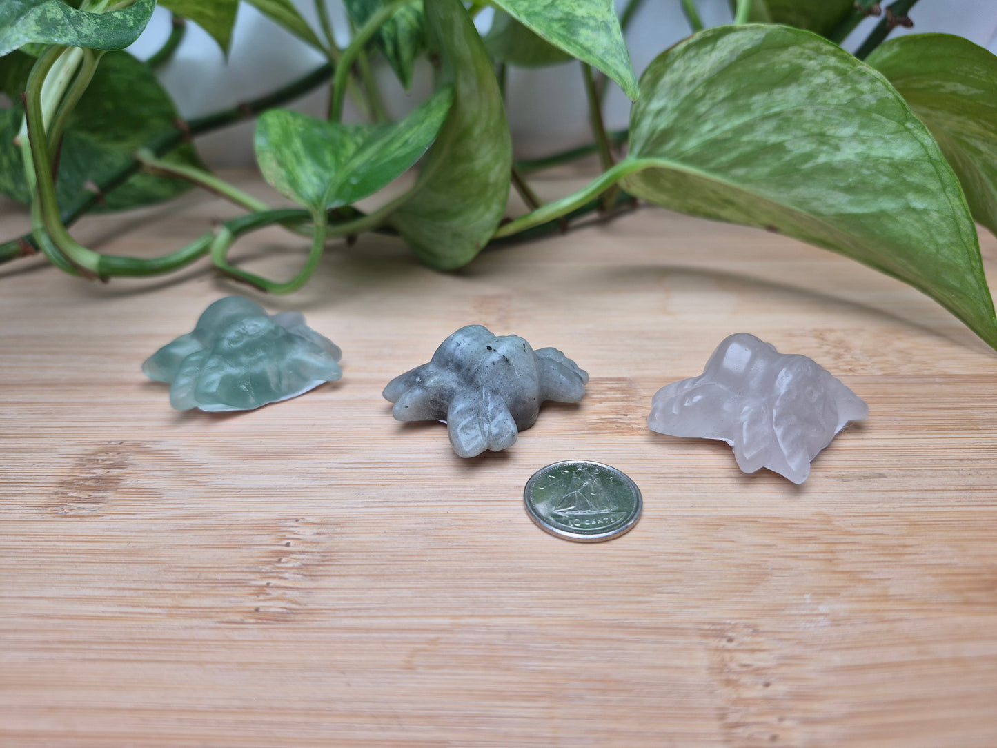 MIXED CRYSTAL SPIDER