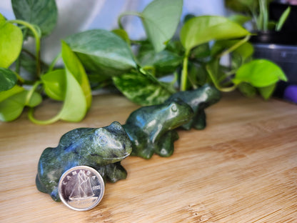 JADE FROG SM
