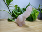 ROSE QUARTZ LG DICK-A-SAURUS