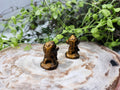 TIGERS EYE CHIMCHAR
