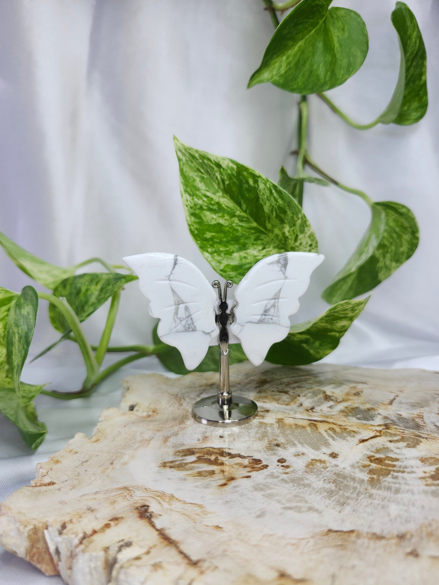 HOWLITE MINI BUTTERFLY WINGS