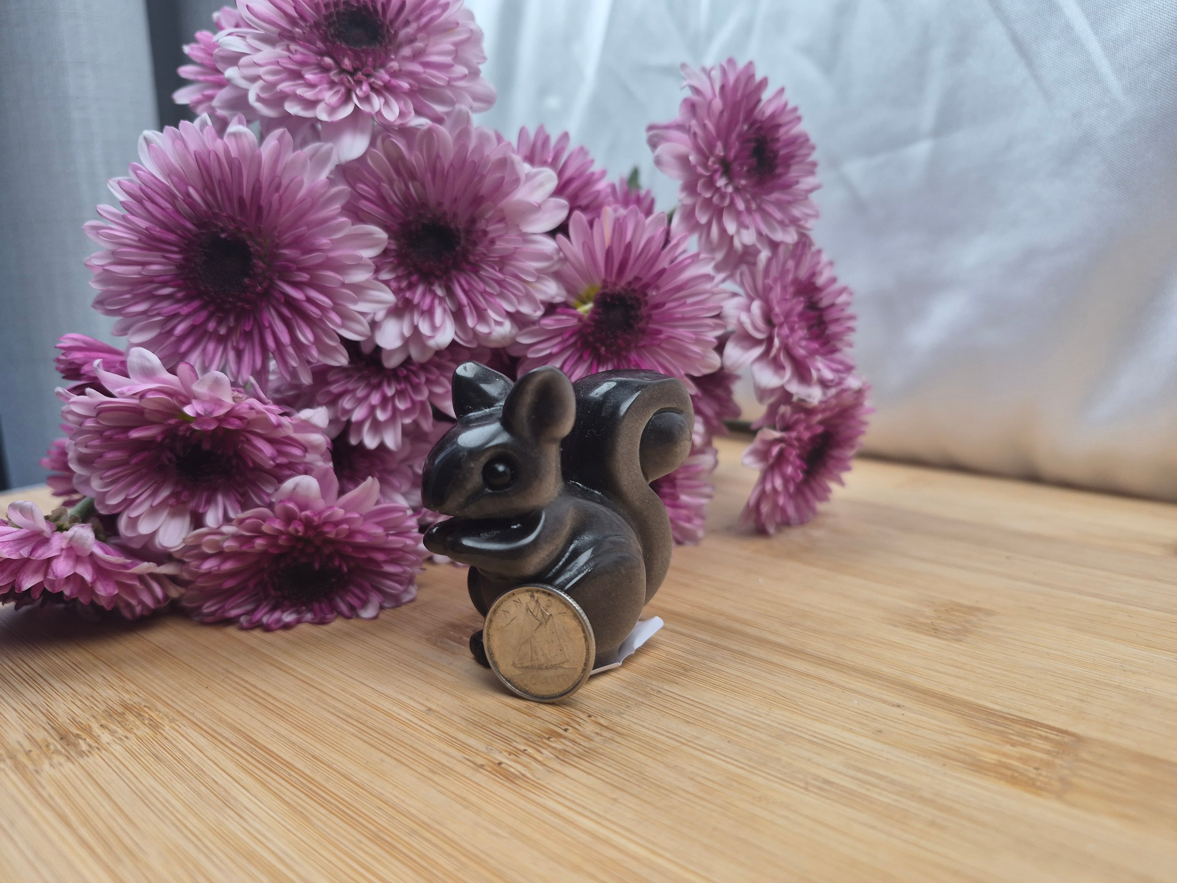 SILVER SHEEN OBSIDIAN SQUIRREL