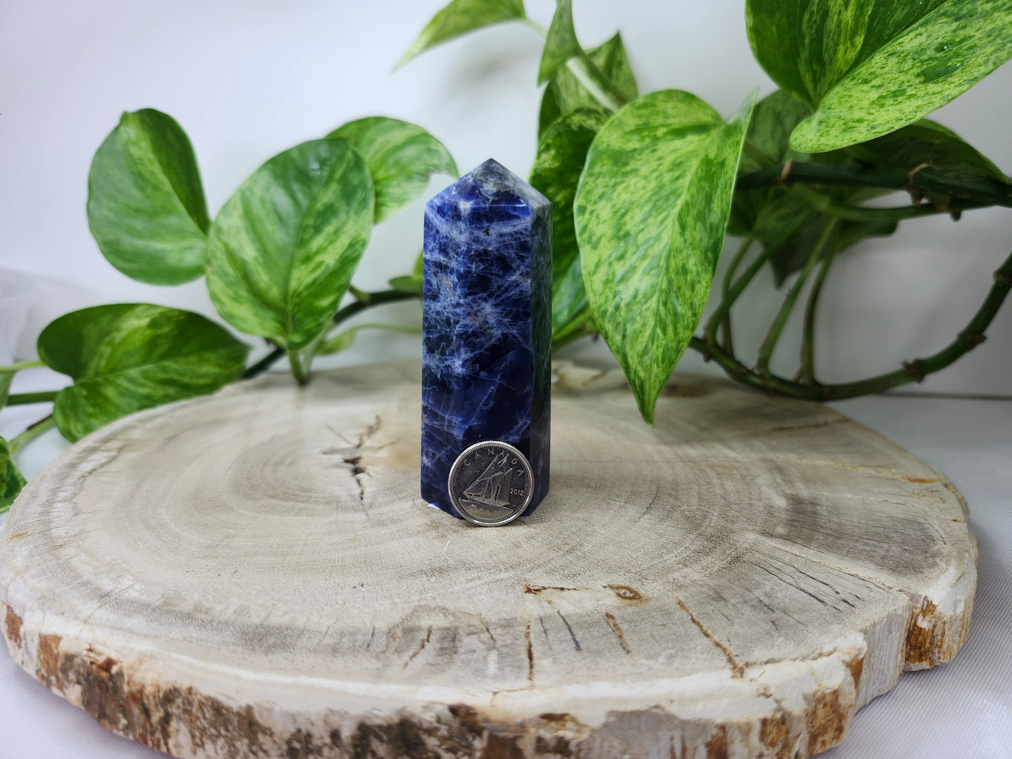 SODALITE TOWER (uv REACTIVE)