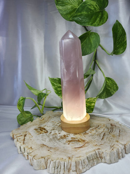 LIGHT BASE SMALL CIRCLE - WHITE