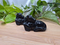 OBSIDIAN HORSE