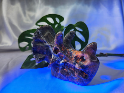 YOOPERLITE TRICERATOPS