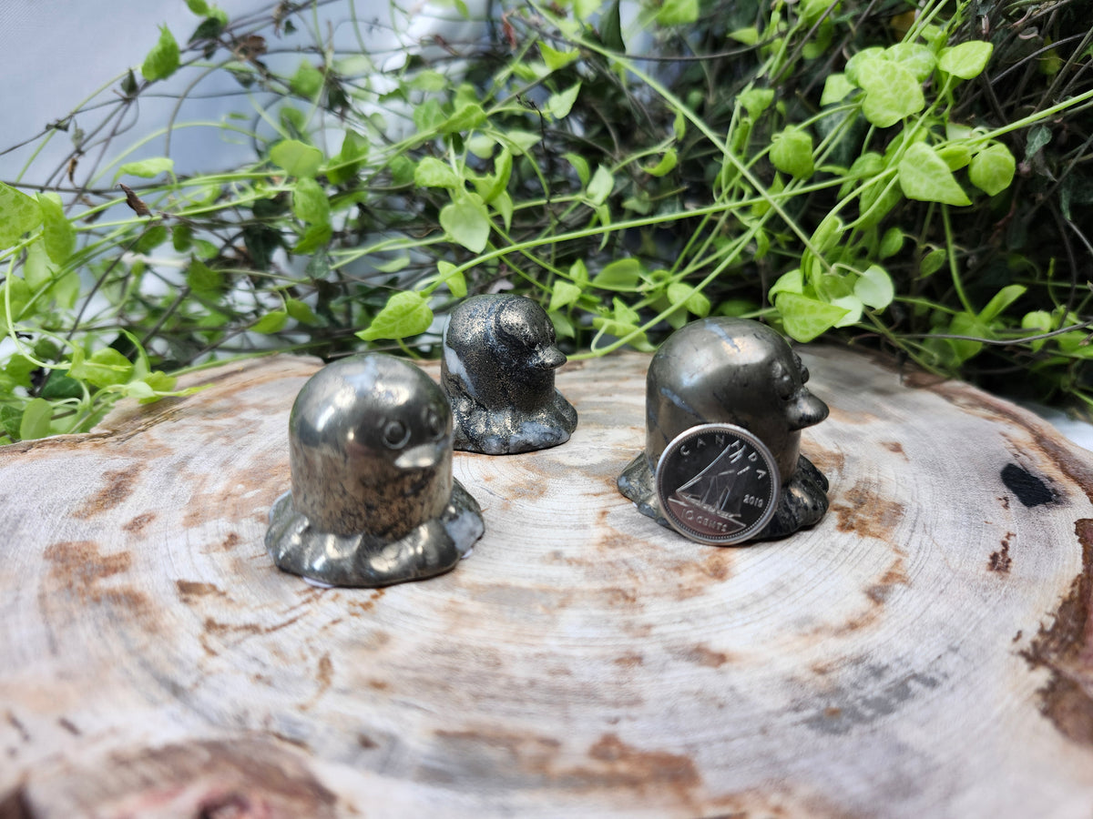 PYRITE DIGLETT