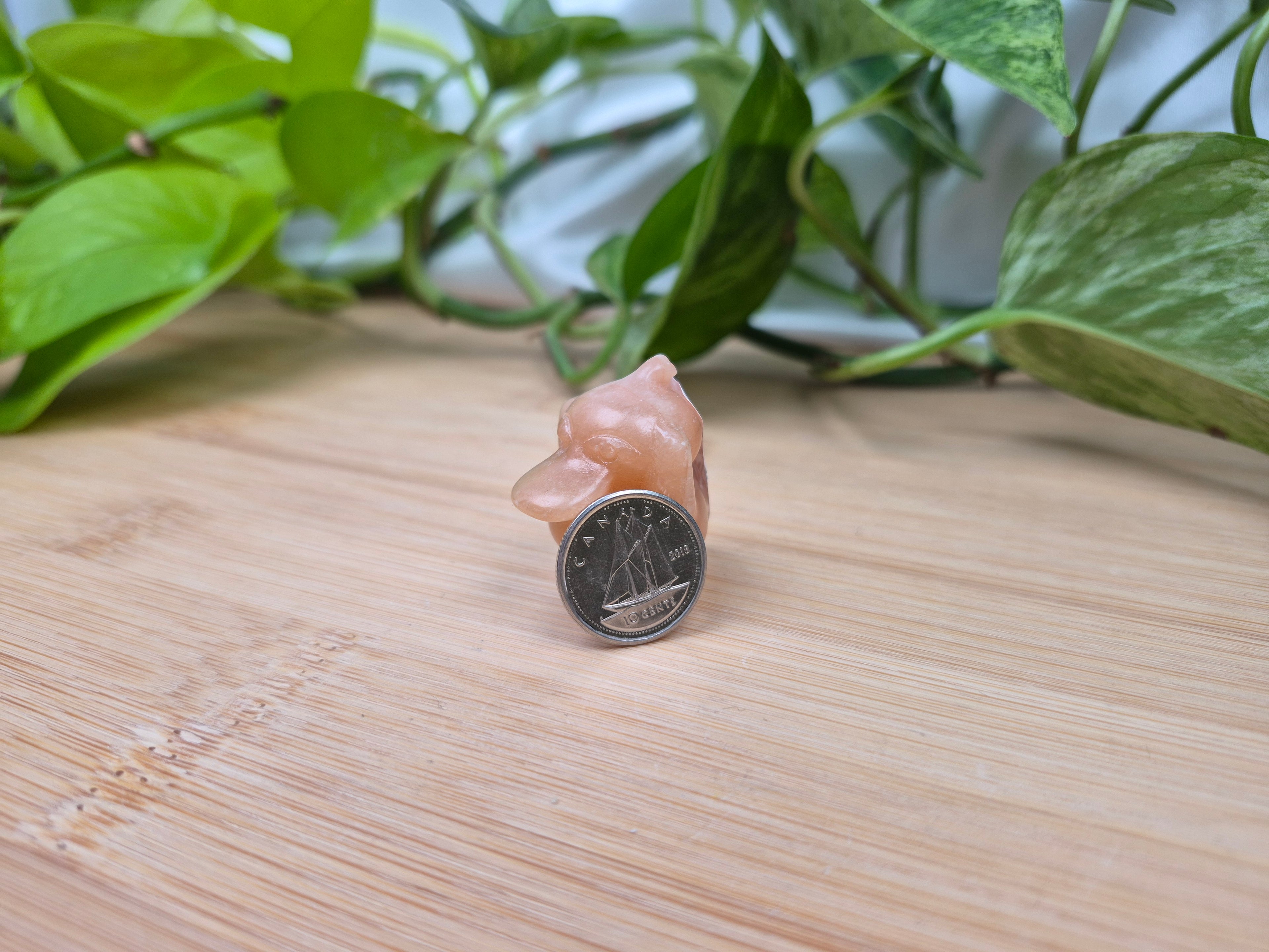 ORANGE CALCITE PSYDUCK