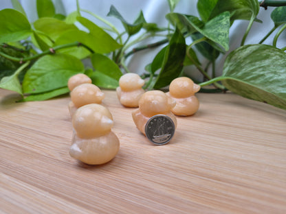 ORANGE CALCITE DUCK