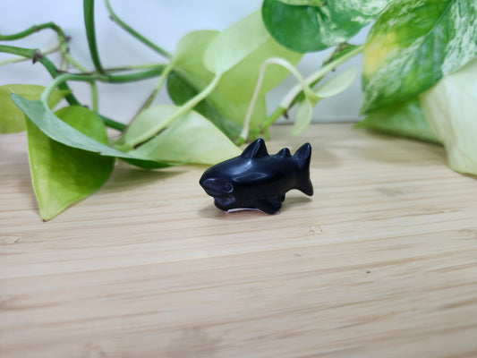 OBSIDIAN SHARK