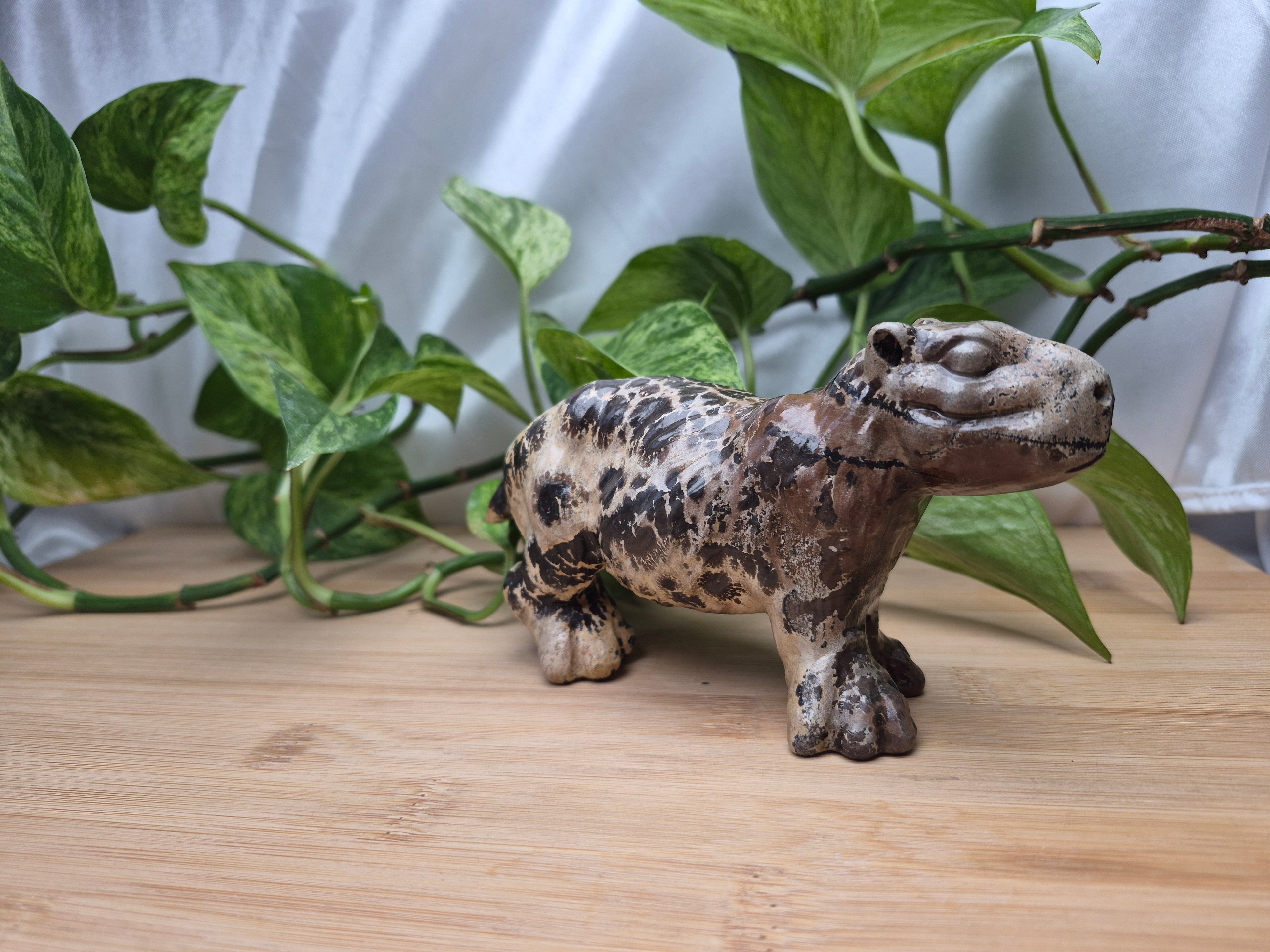PICTURE JASPER CAPYBARA