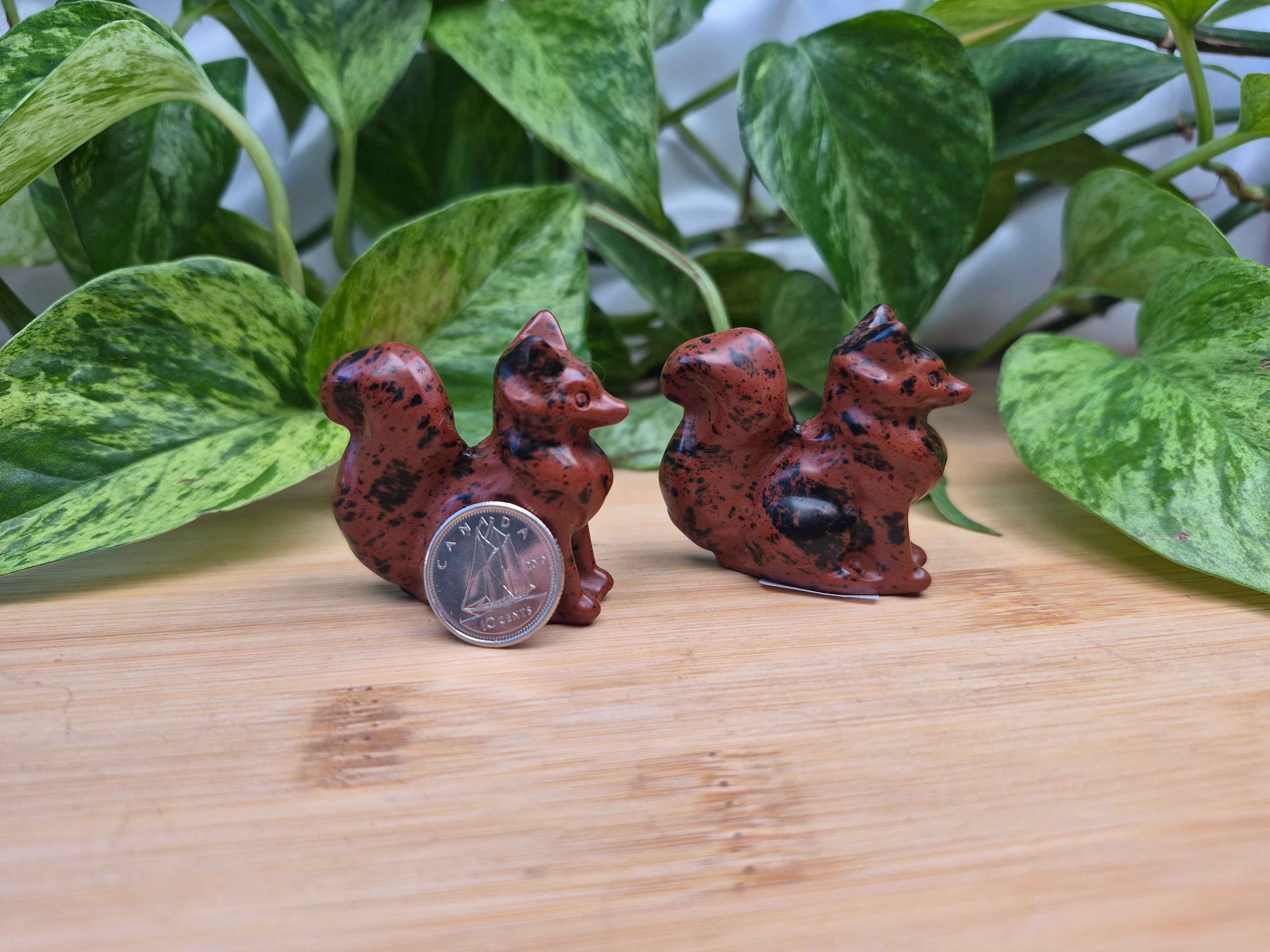 MAHOGANY OBSIDIAN FOX