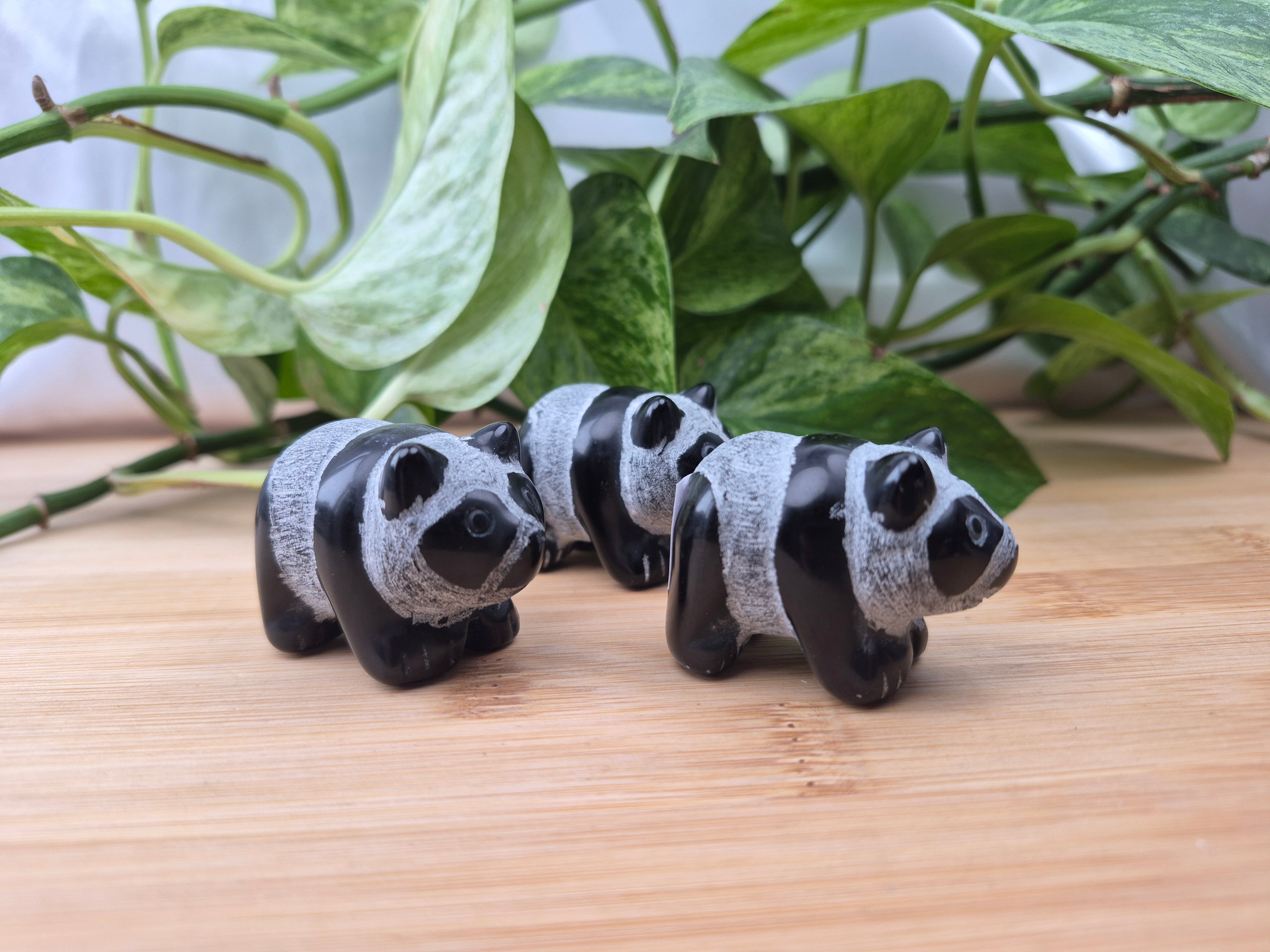 OBSIDIAN PANDA