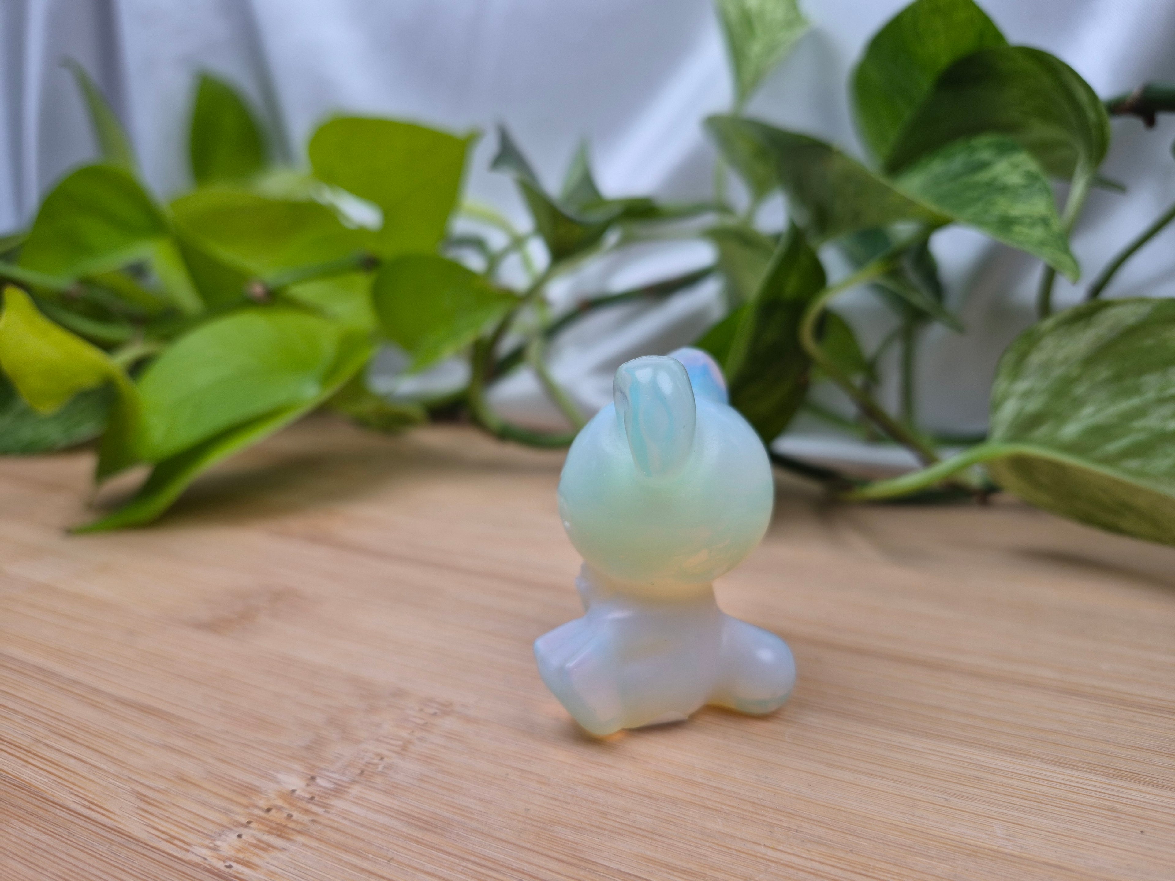 OPALITE TEDDIURSA