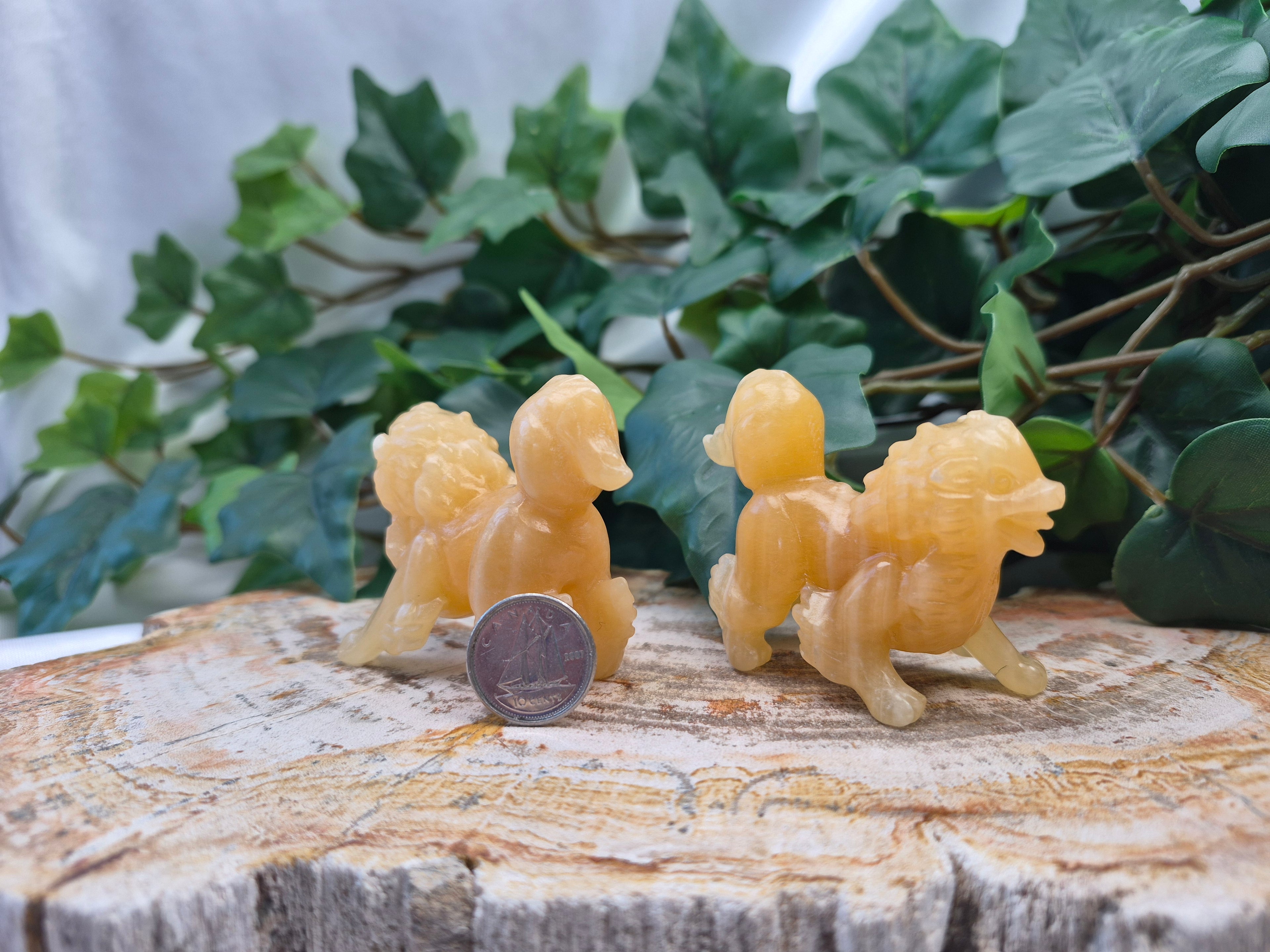 ORANGE CALCITE ARCHANINE MD