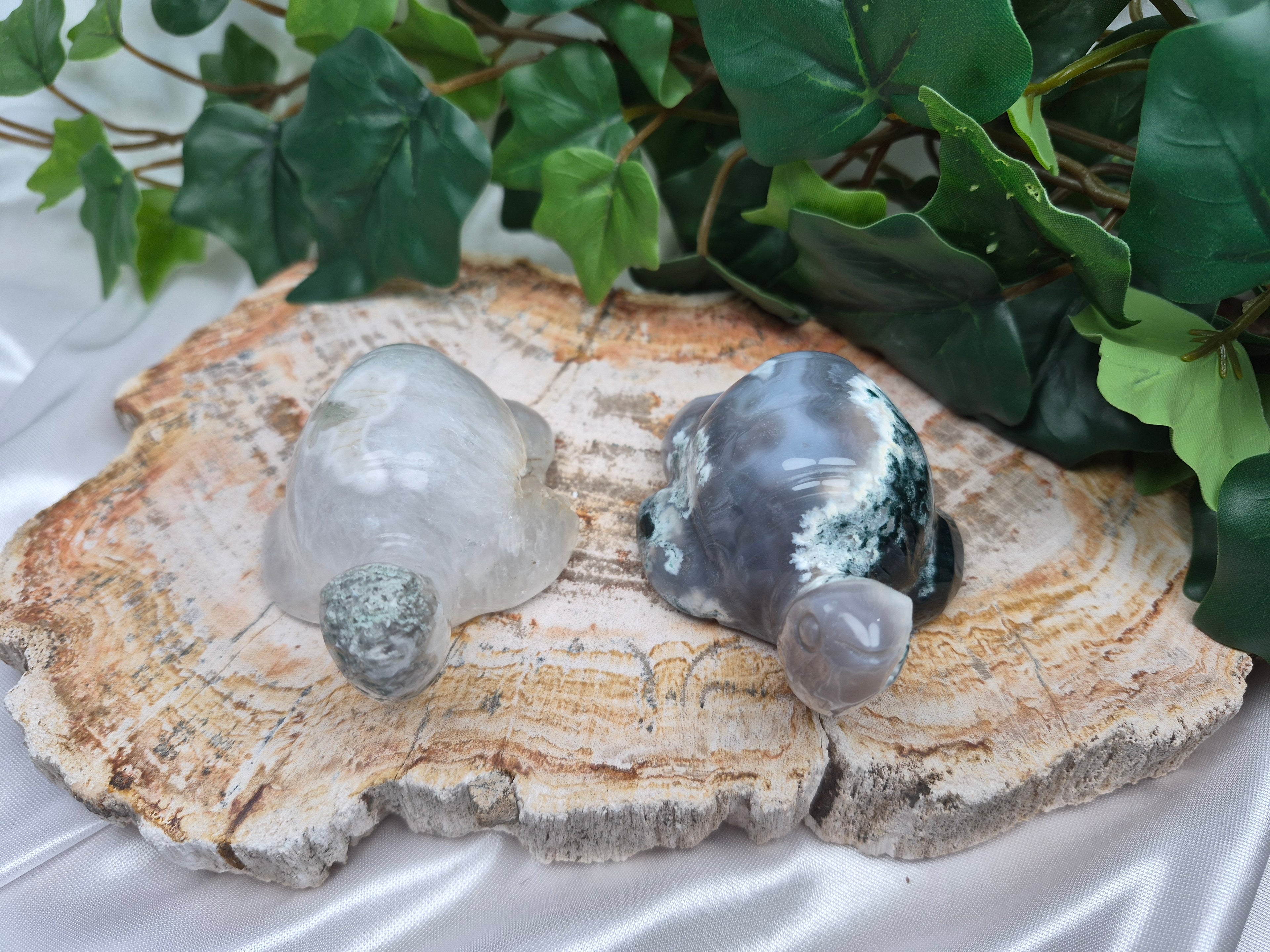 MOSS AGATE TURTLE