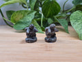 YOOPERLITE BLASTOISE