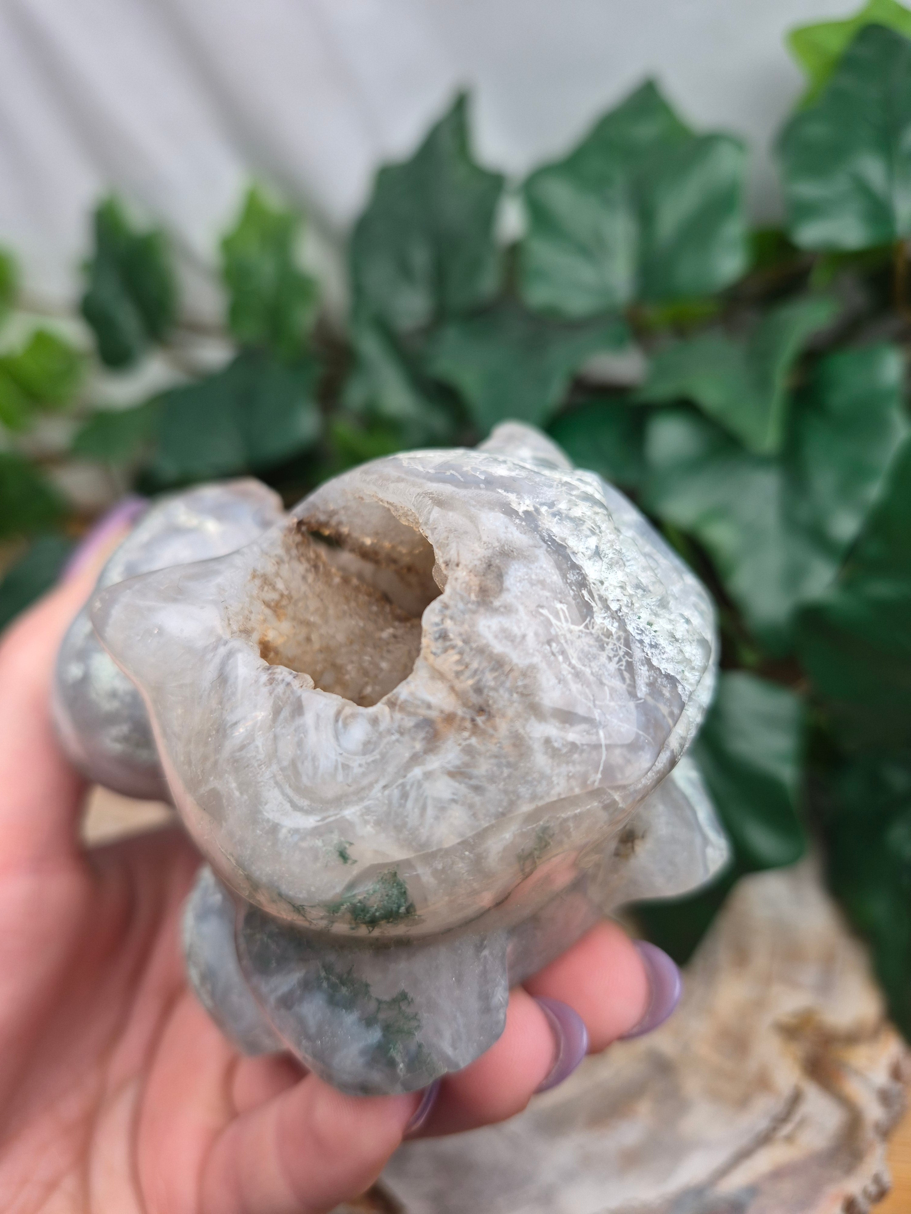 MOSS AGATE BULBASAUR