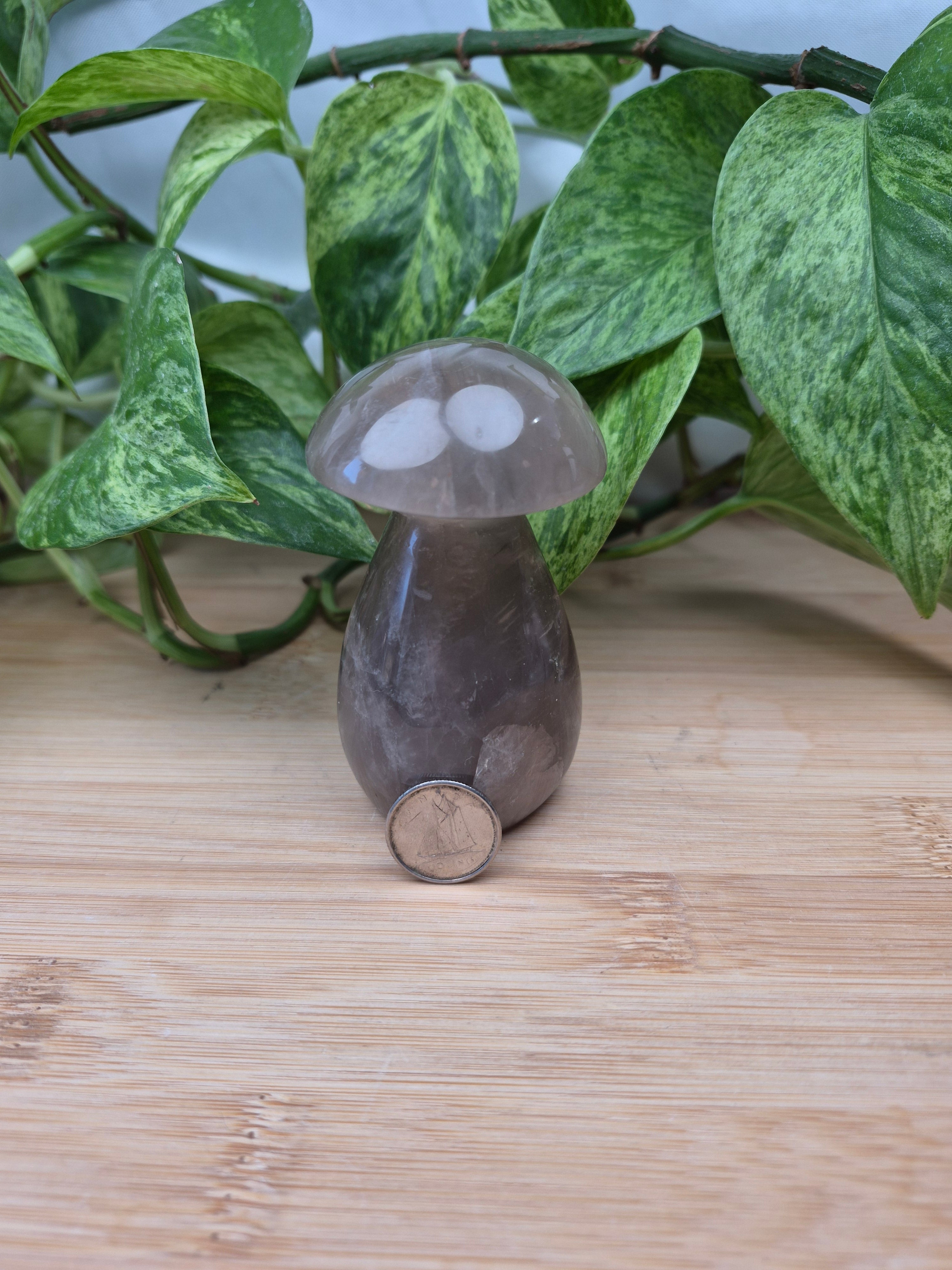 SMOKY MOONSTONE MUSHROOM