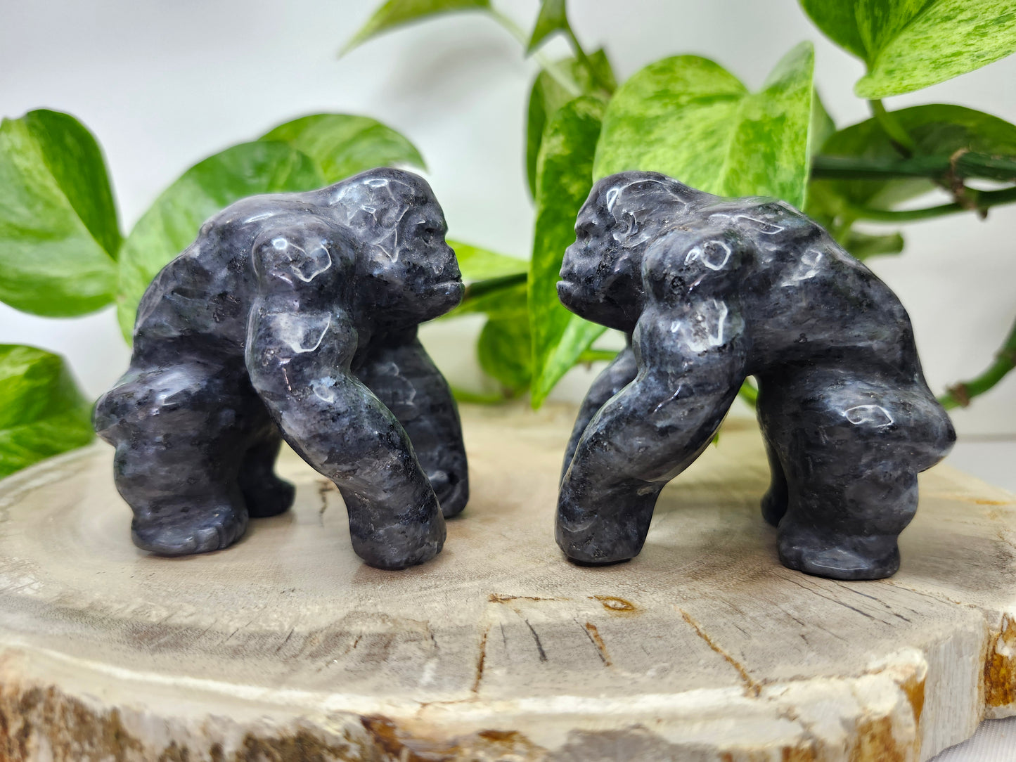 LARVIKITE GORILLA