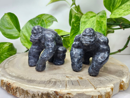 LARVIKITE GORILLA