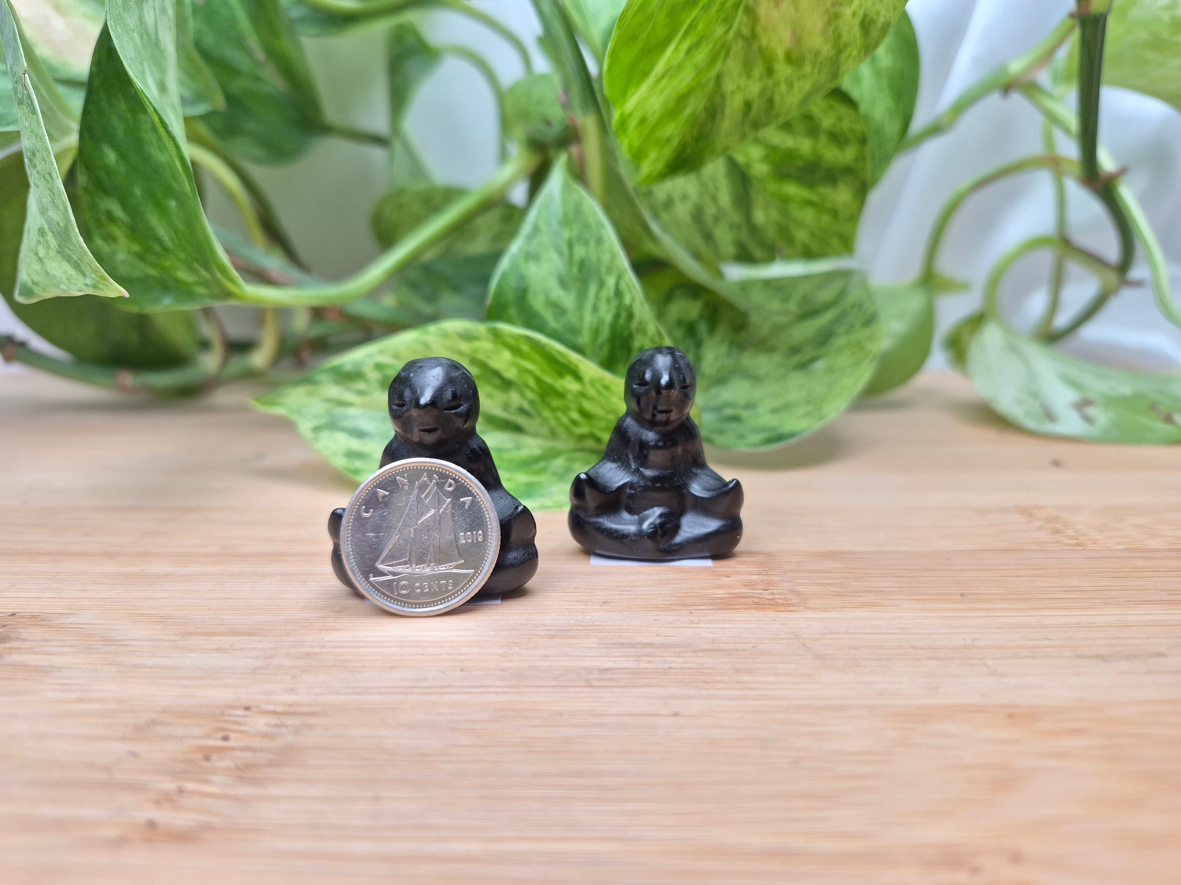 OBSIDIAN SLOTH