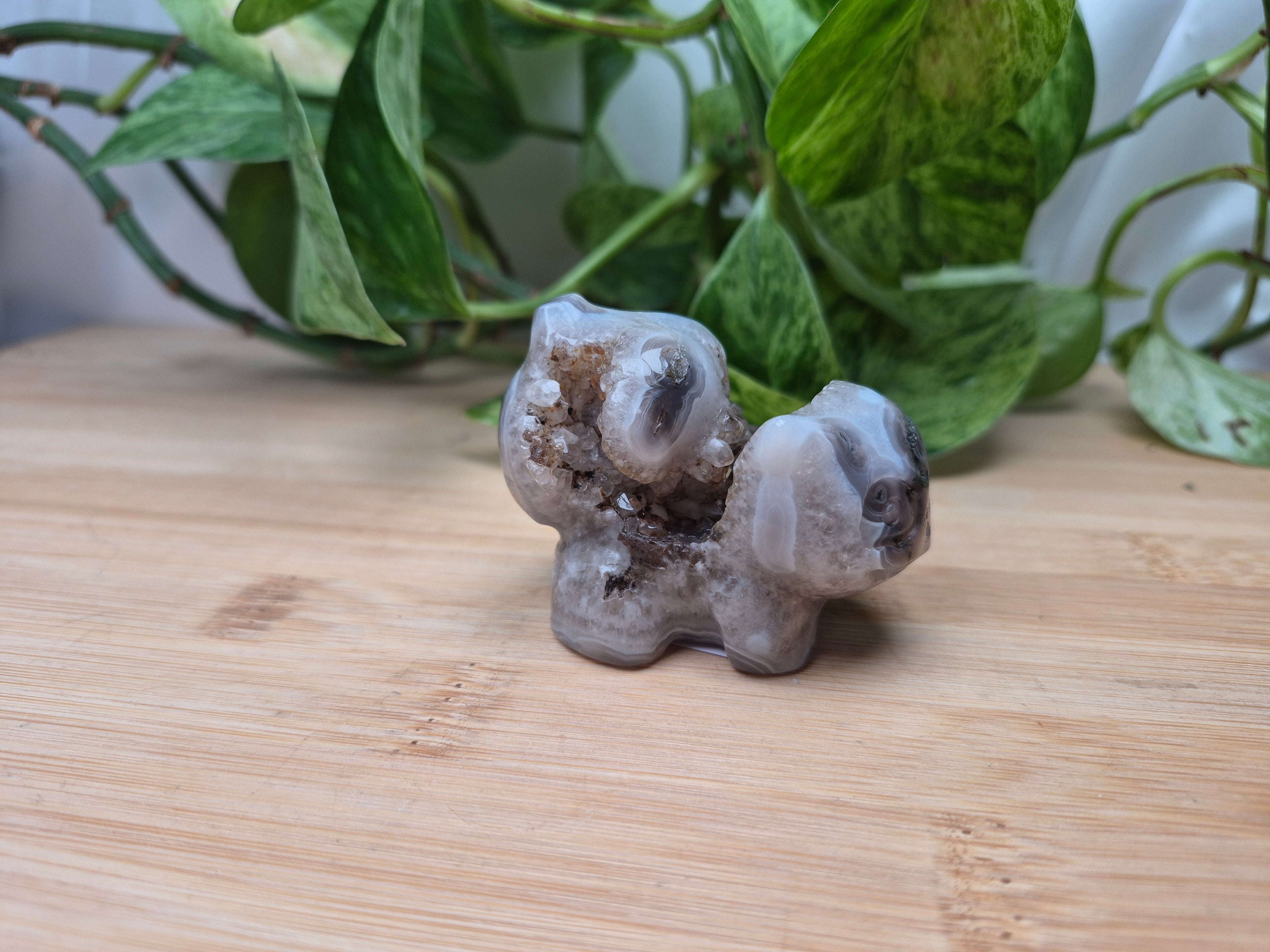 MOSS AGATE BULBASAUR MD