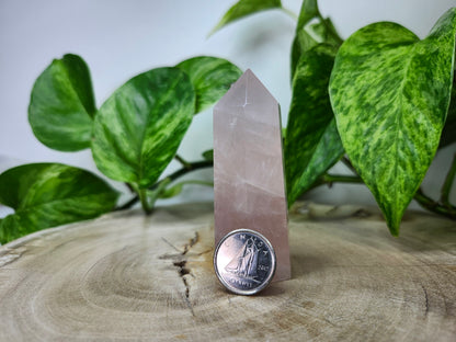 ROSE QUARTZ TOWER