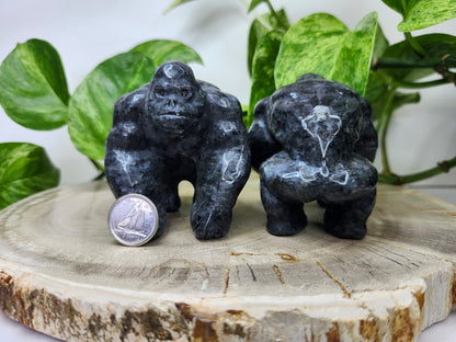 LARVIKITE GORILLA