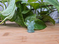 FLUORITE ODDISH