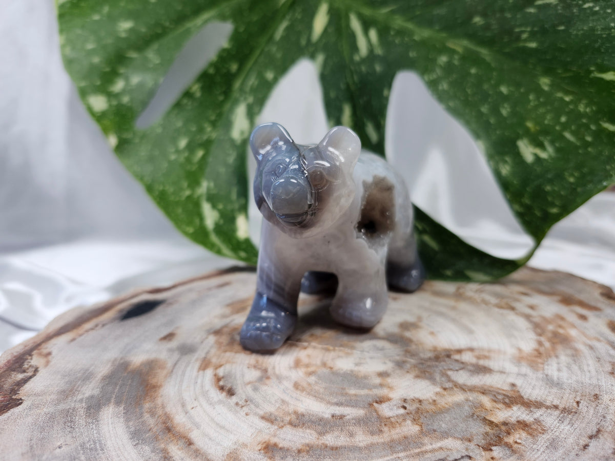 DRUZY AGATE BEAR