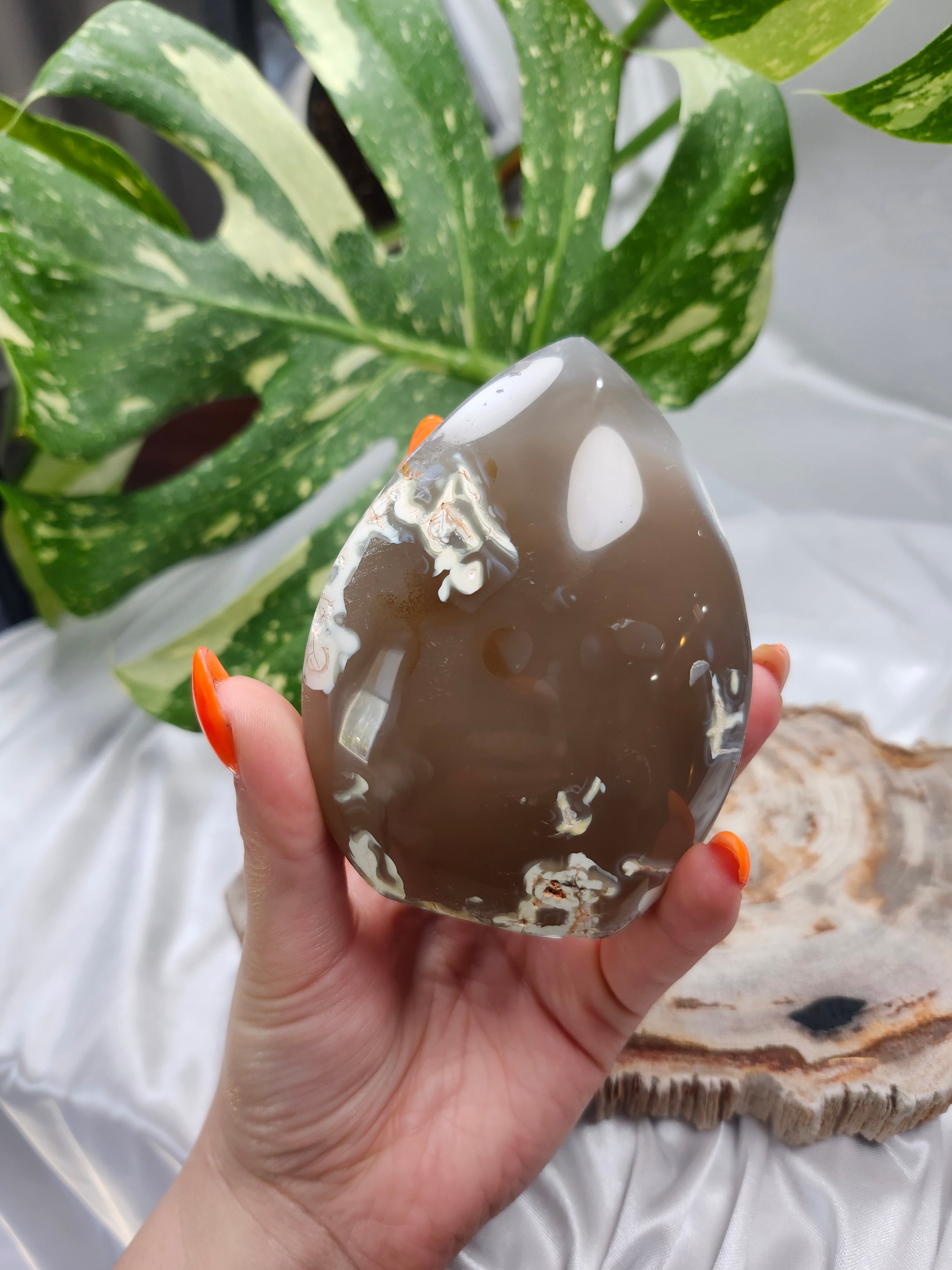 ORCA AGATE FREEFORM