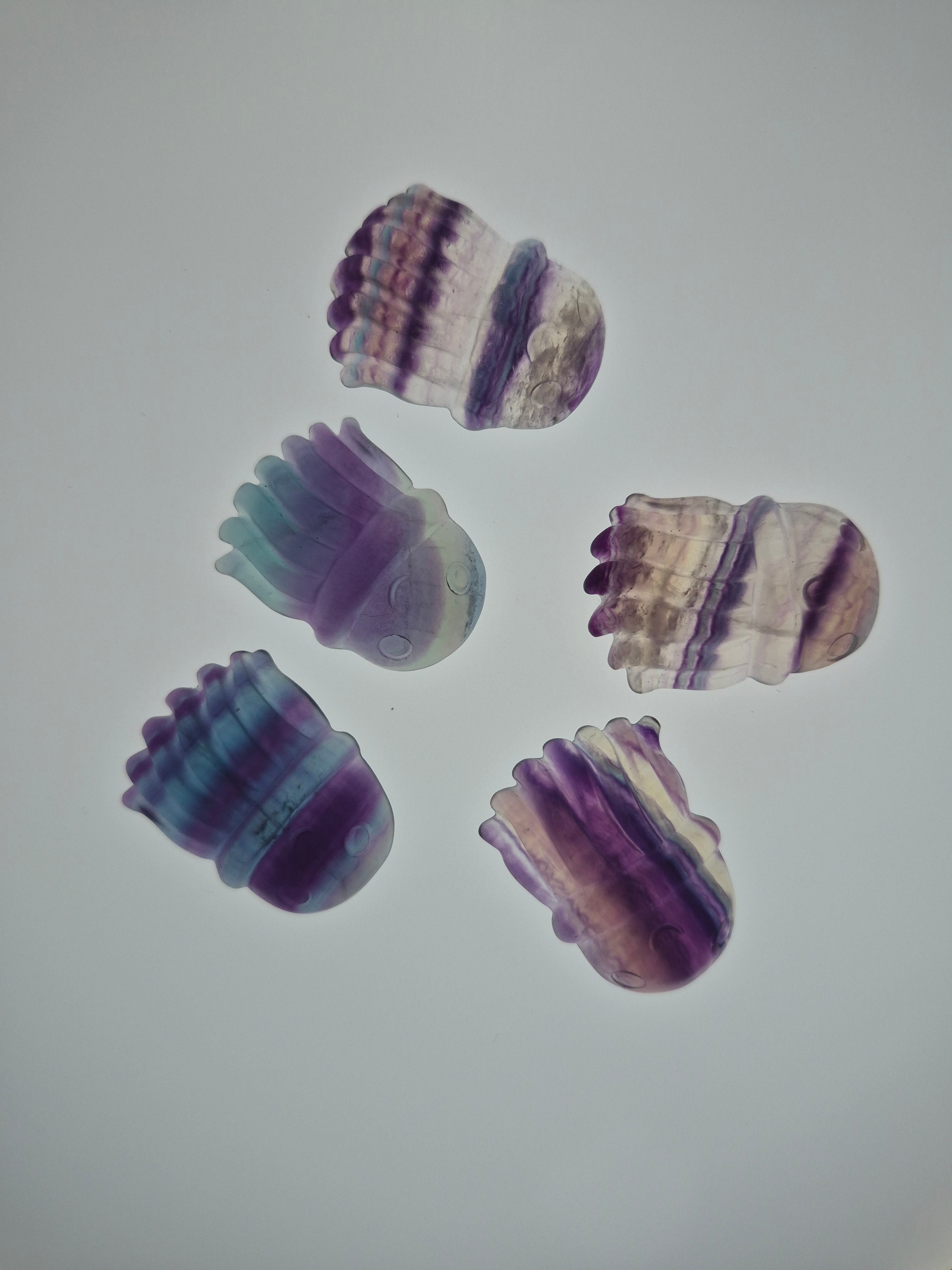 FLUORITE JELLYFISH