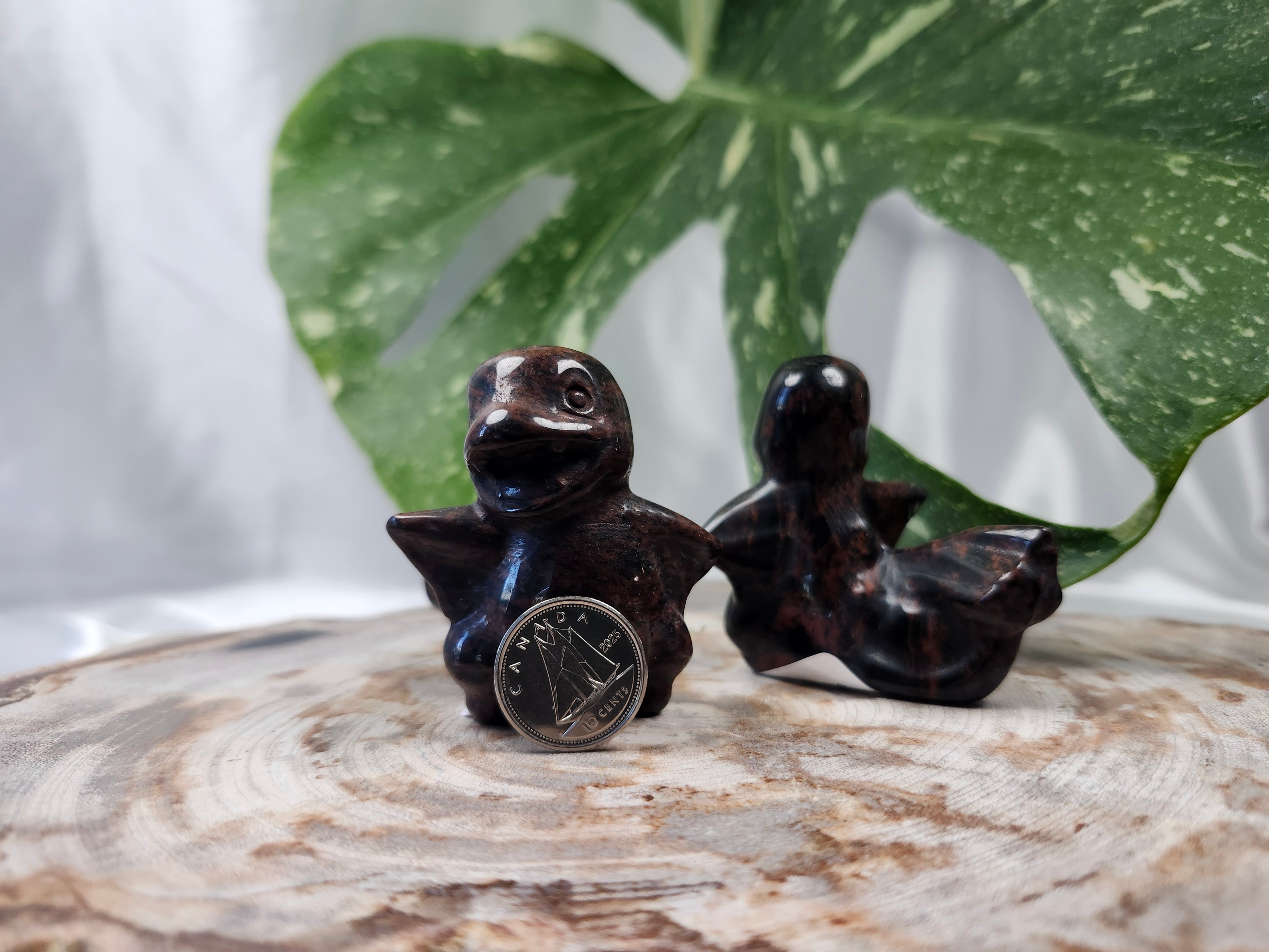 MAHOGANY OBSIDIAN CHARMANDER