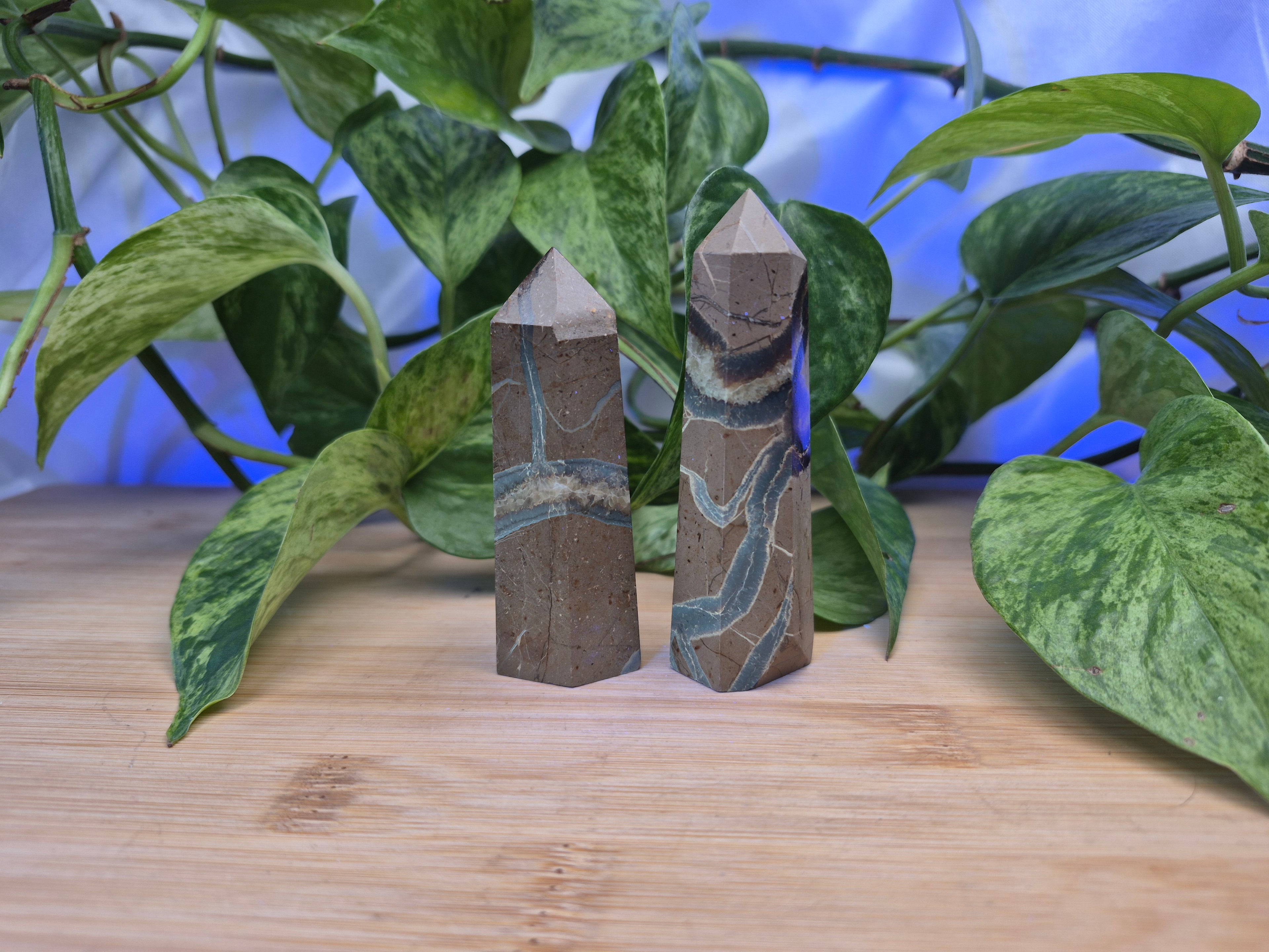 SEPTARIAN TOWER
