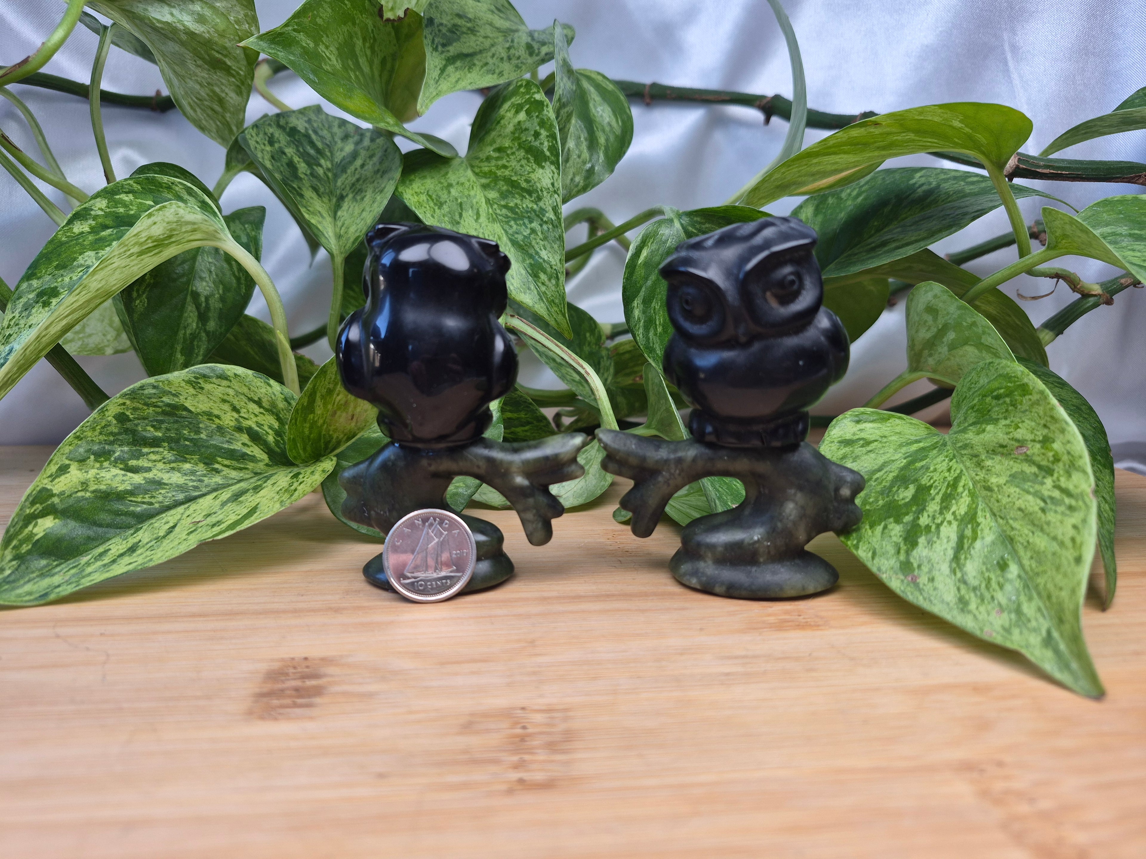 OBSIDIAN AND JADE OWL