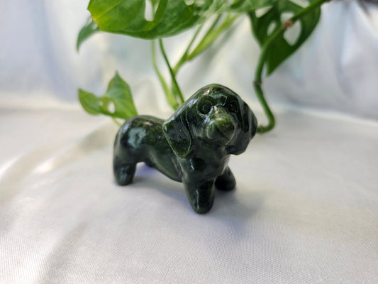 JADE DACHSHUND