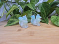 OPALITE FOX