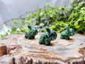 RUBY ZOISITE TURTWIG