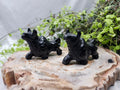 BLACK OBSIDIAN BULL