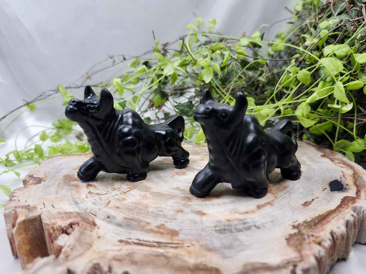BLACK OBSIDIAN BULL