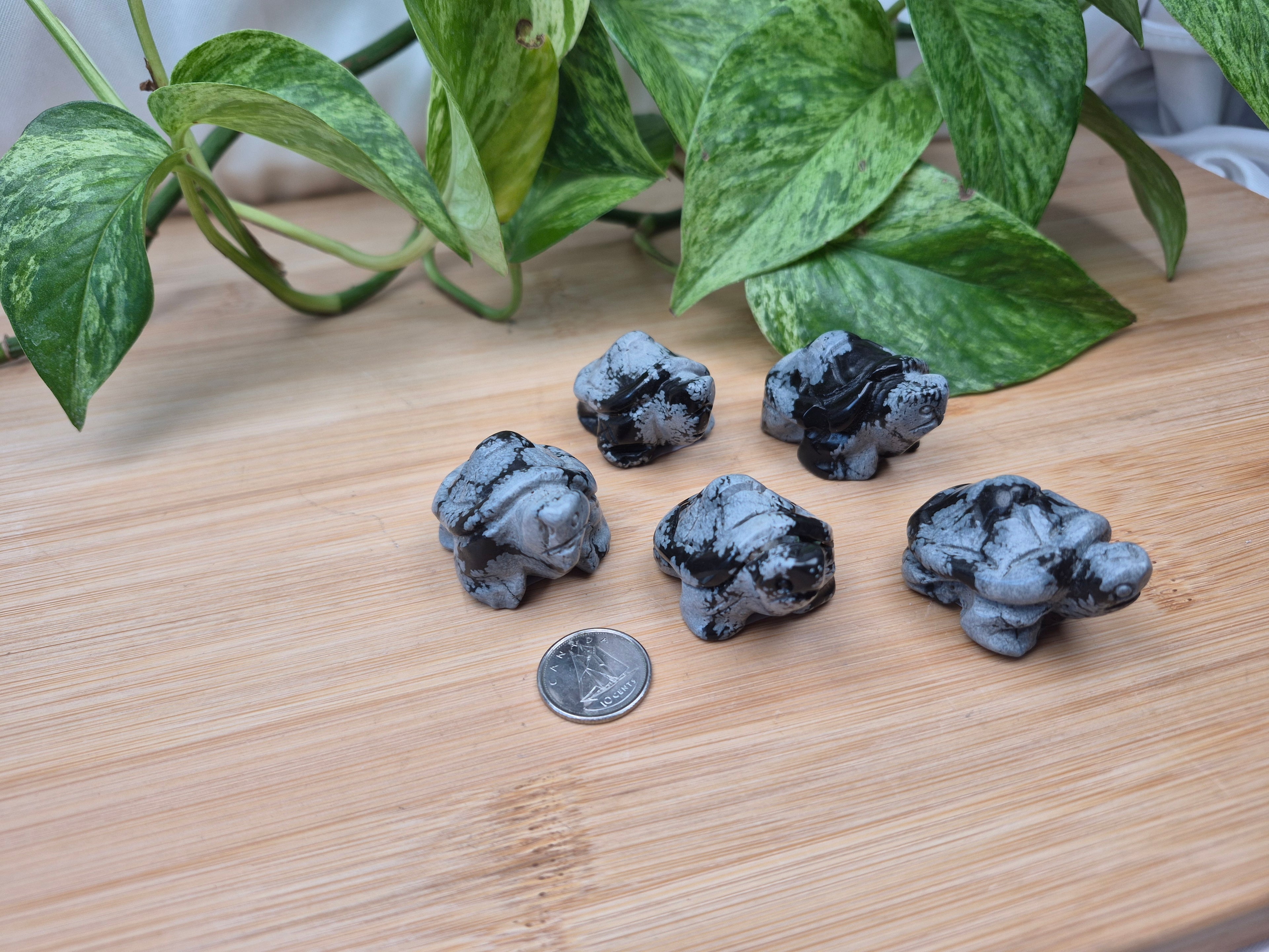 SNOWFLAKE OBSIDIAN TURTLE