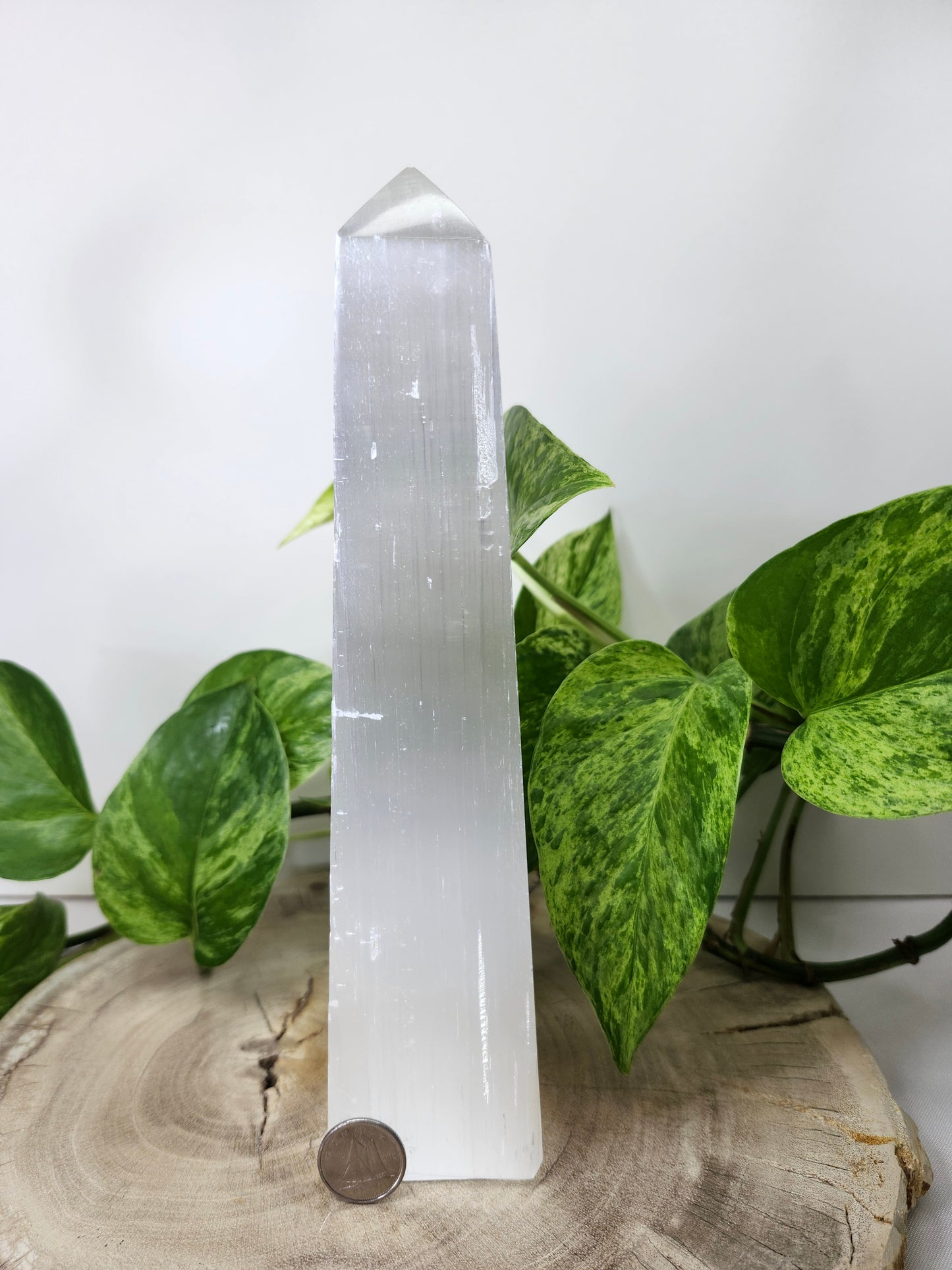 SELENITE TOWER