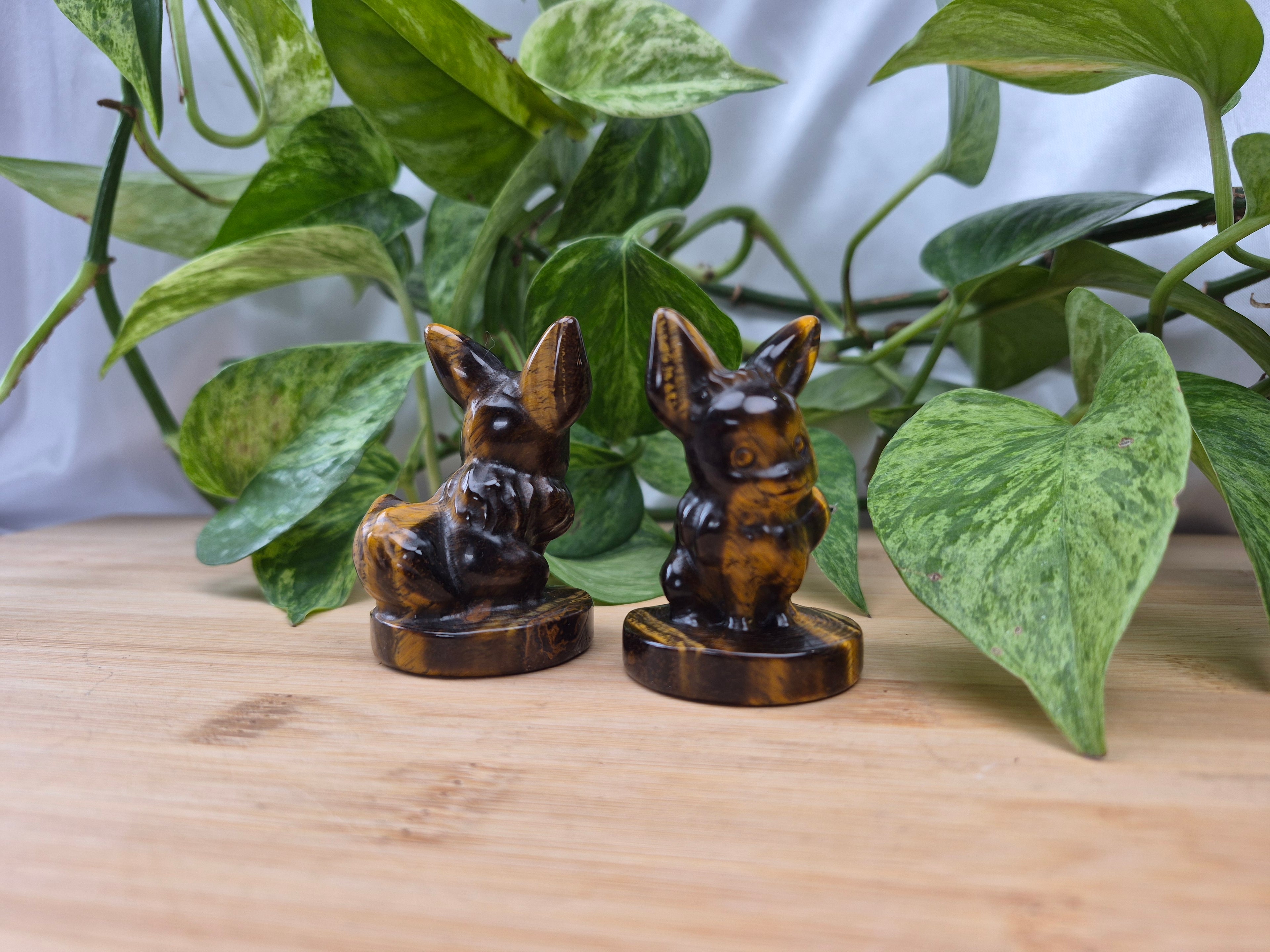 TIGERS EYE EEVEE MD