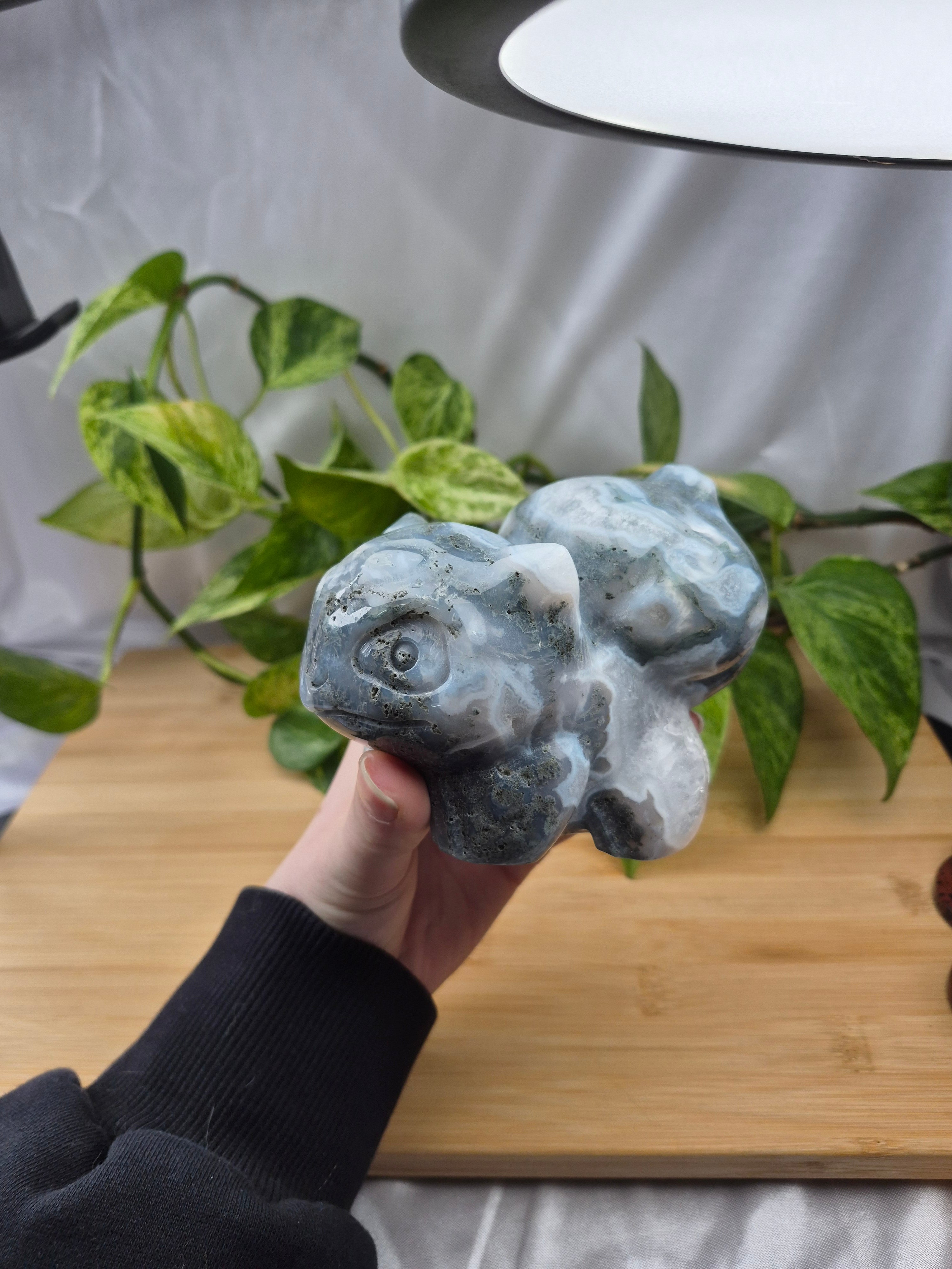 MOSS AGATE BULBASAUR XXL